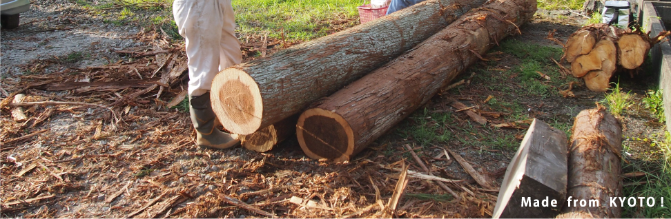 木質ペレットを知る
