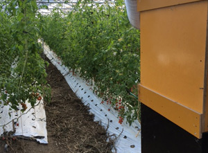 オーガニックnico　ペレットボイラー