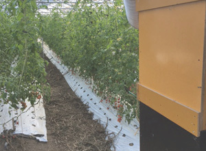 オーガニックnico　ペレットボイラー