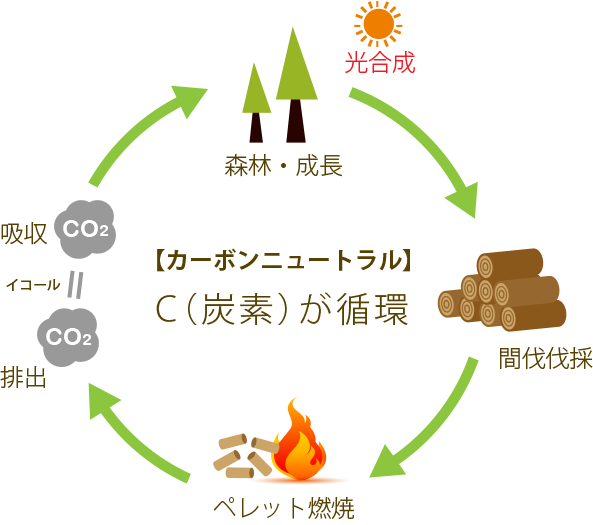 カーボンニュートラル