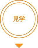見学