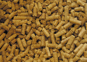 �s���{���ʂ̖ؒY���Y�ʁi2003�N�j