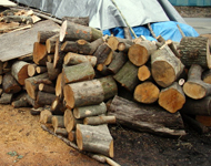 ������Ё@�ΐ�݌v