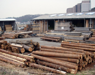 �g���؍ށ@�������