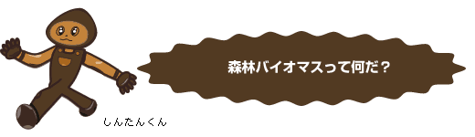 森林バイオマスって何だ?