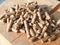 ペレット.jpg